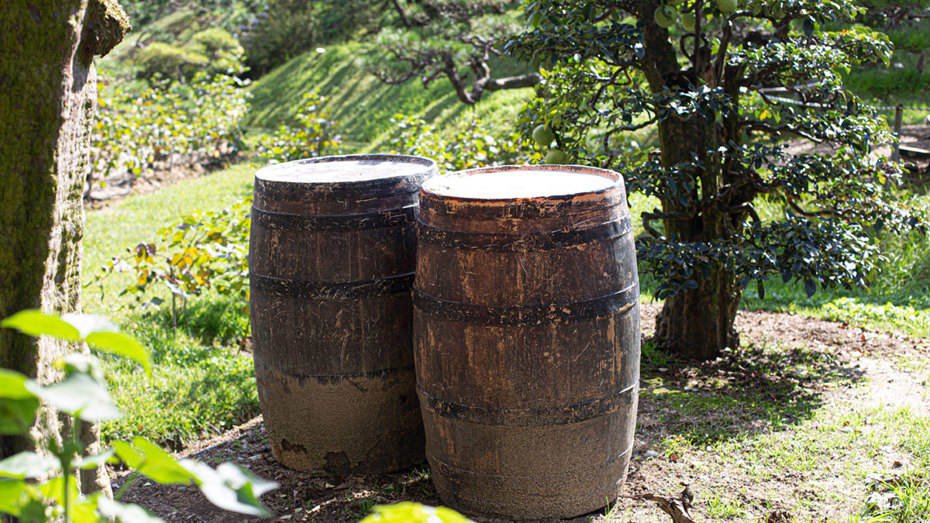 Distilleries are working with cooperages that practice responsible forestry, ensuring that the oak is sourced from sustainably managed forests.